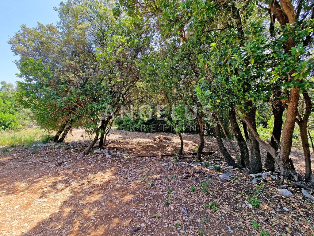 Image 6208694 - 3
