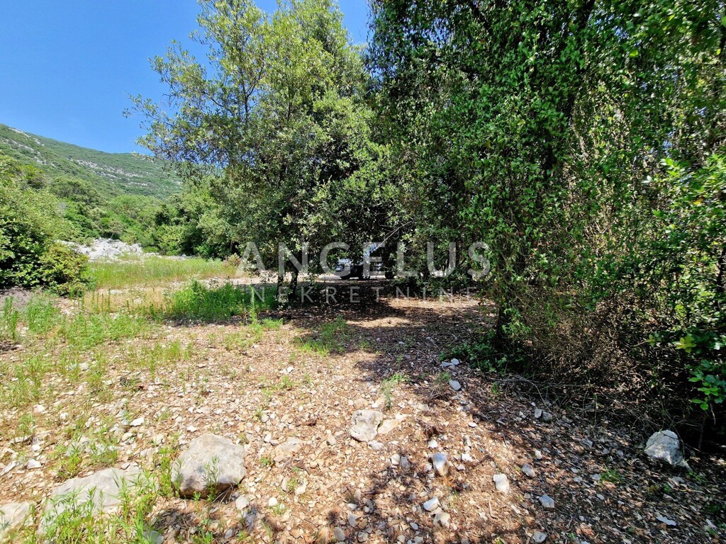Image 6208694 - 4