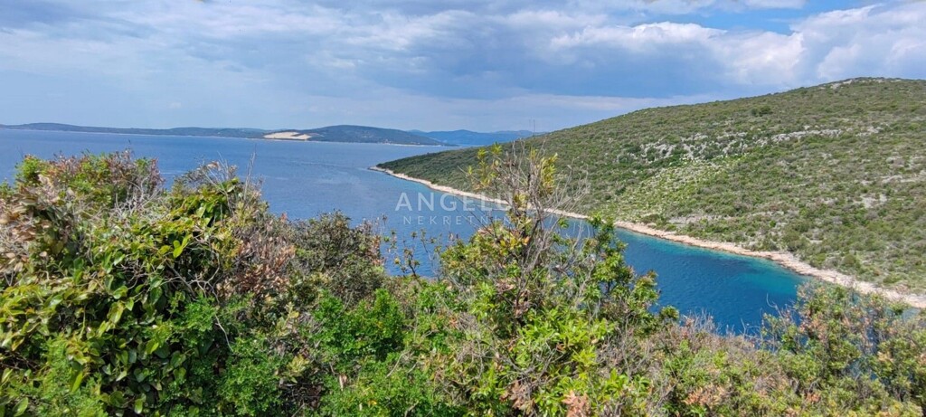 Image 6208708 - 11