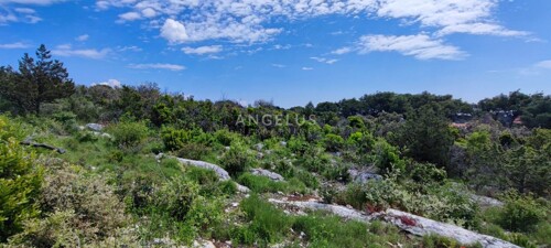 Thumbnail 6208708 - 7