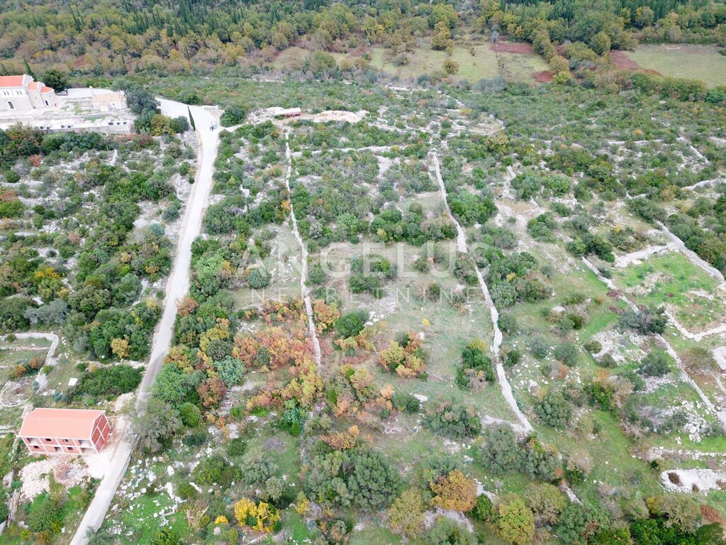 Image 6208709 - 7