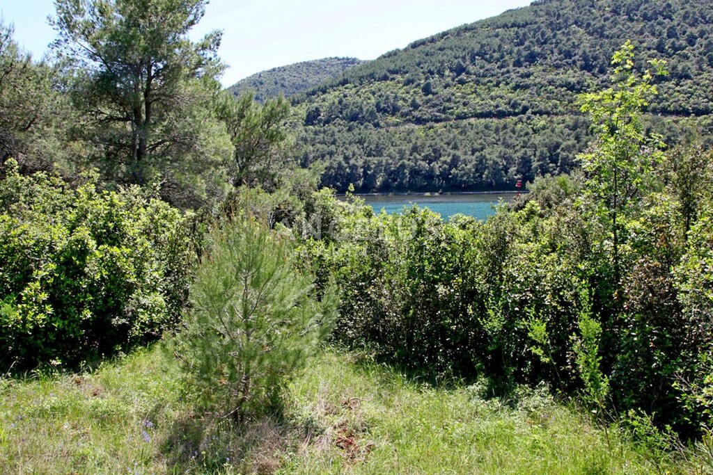Image 6208726 - 5