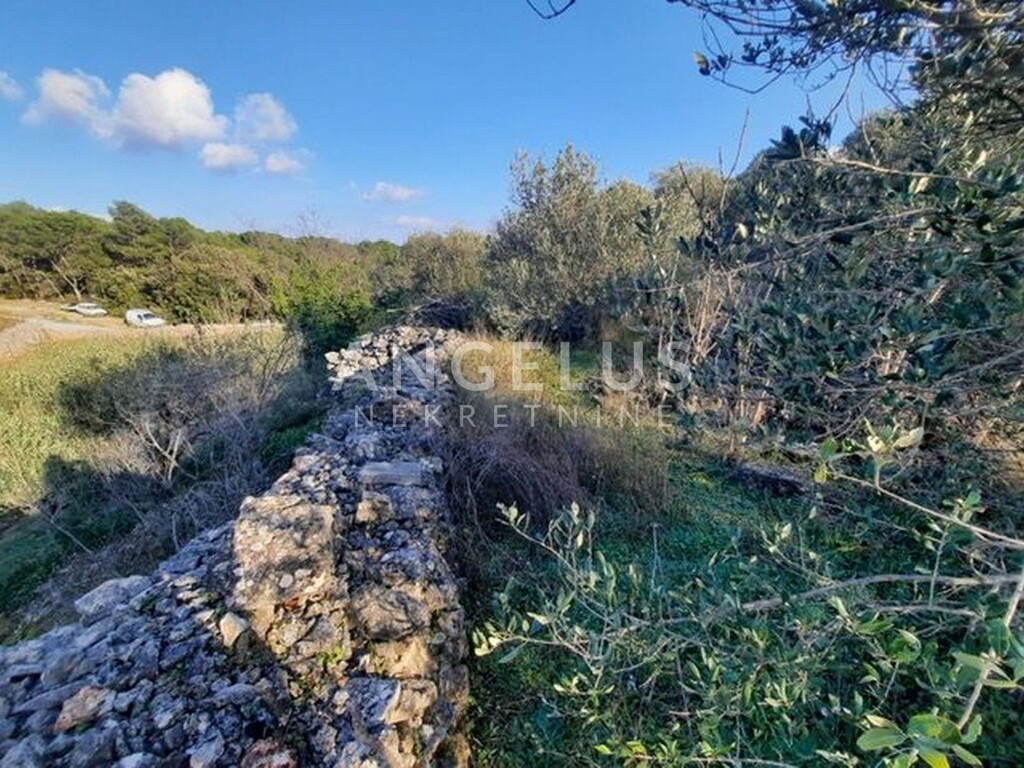 Image 6208742 - 10
