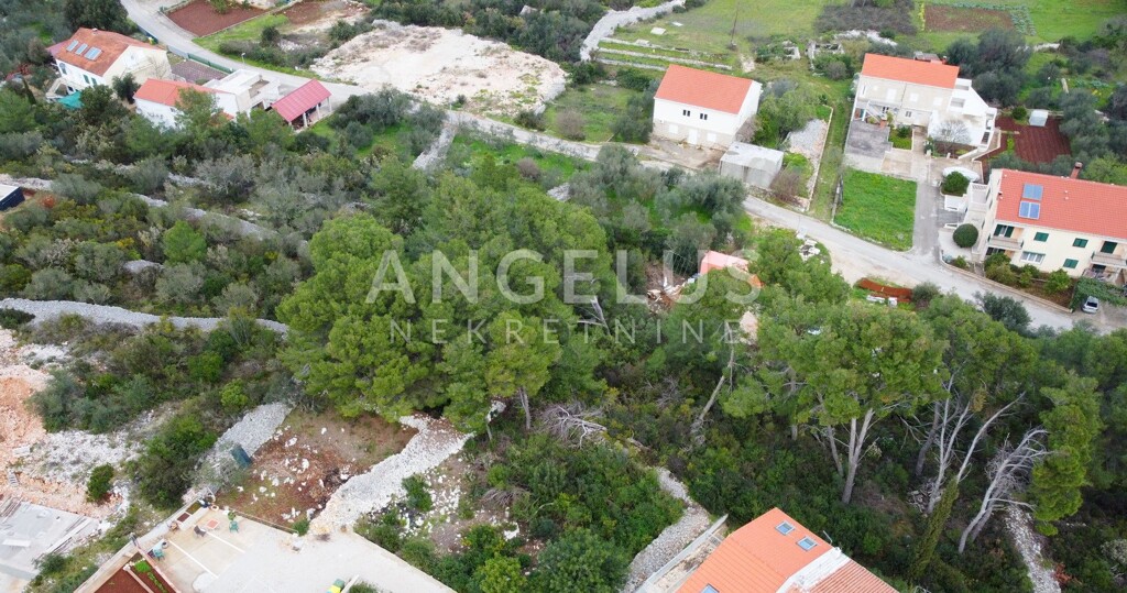 Image 6208743 - 5
