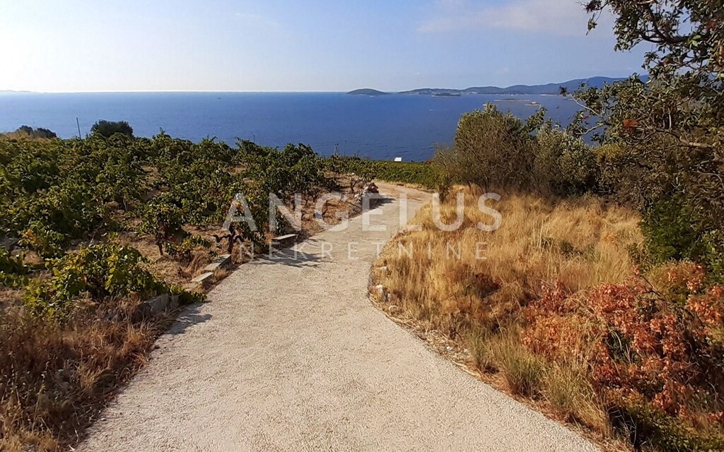 Image 6208749 - 4