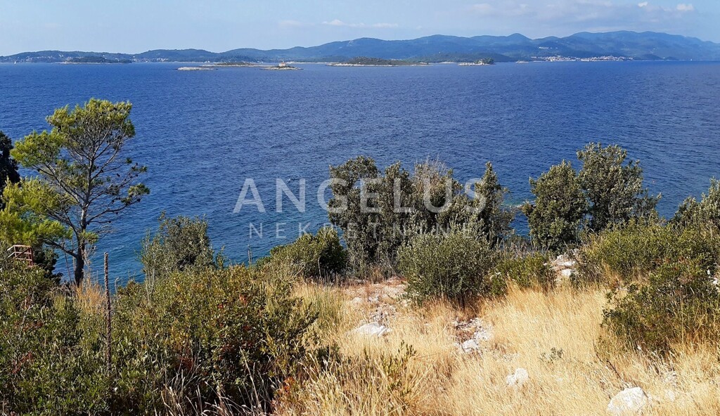 Image 6208749 - 3