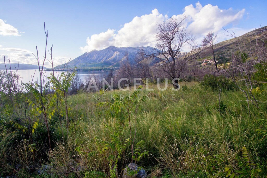 Image 6208749 - 5