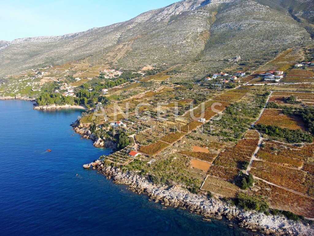 Image 6208749 - 1