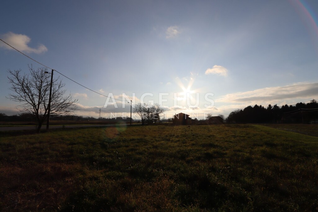 Image 6208750 - 4