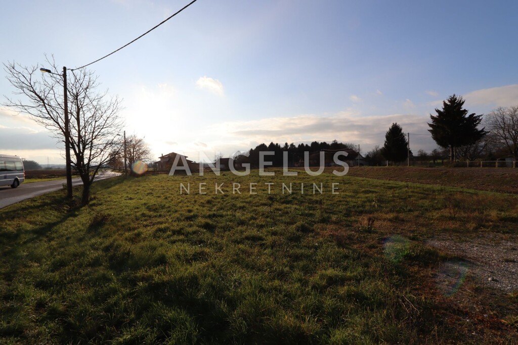 Image 6208750 - 1