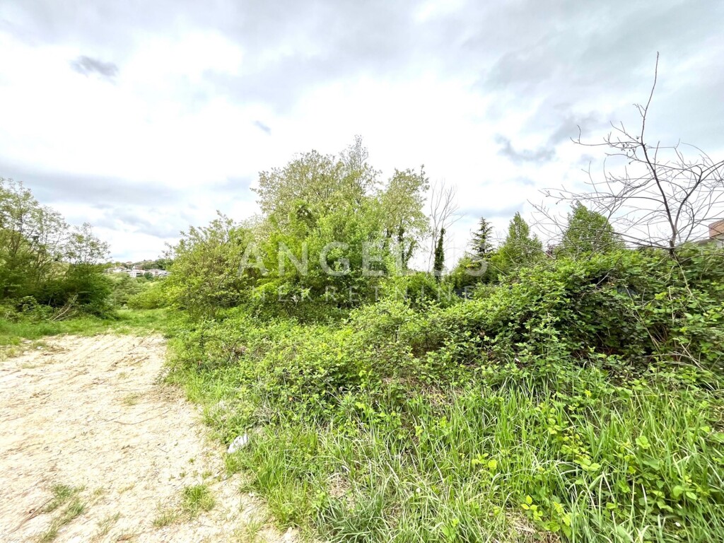 Image 6208754 - 1