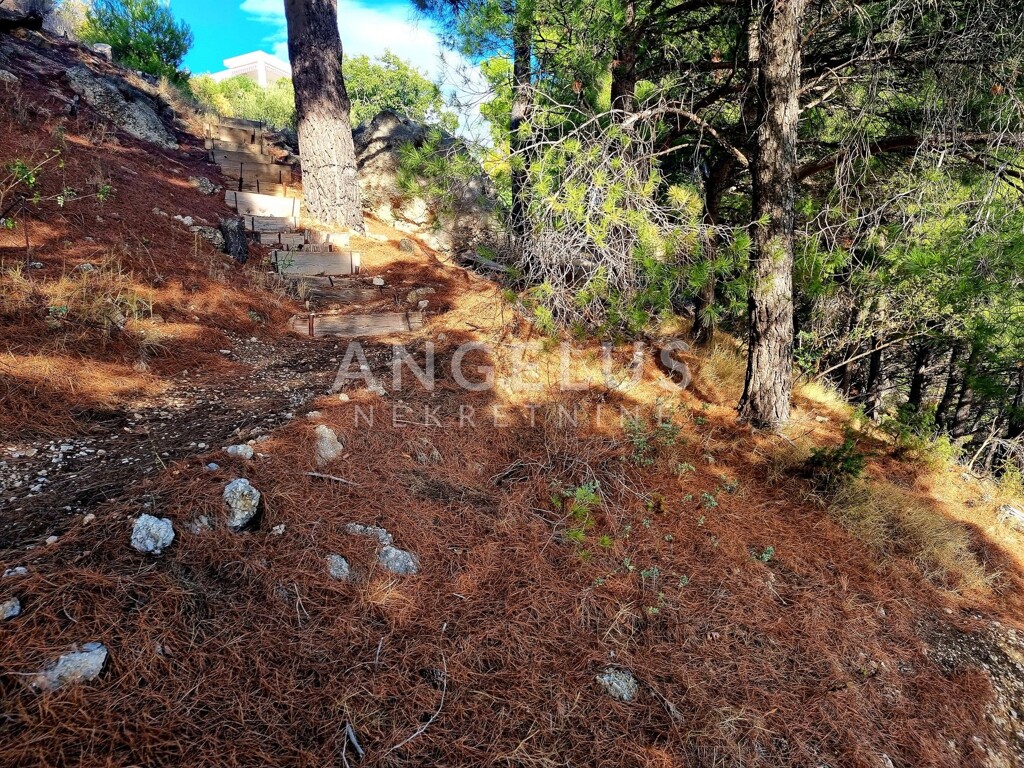 Image 6208766 - 19