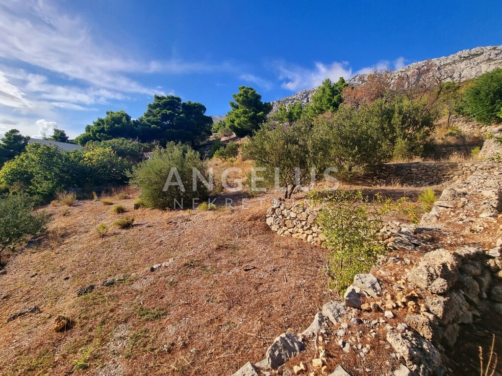 Image 6208766 - 16