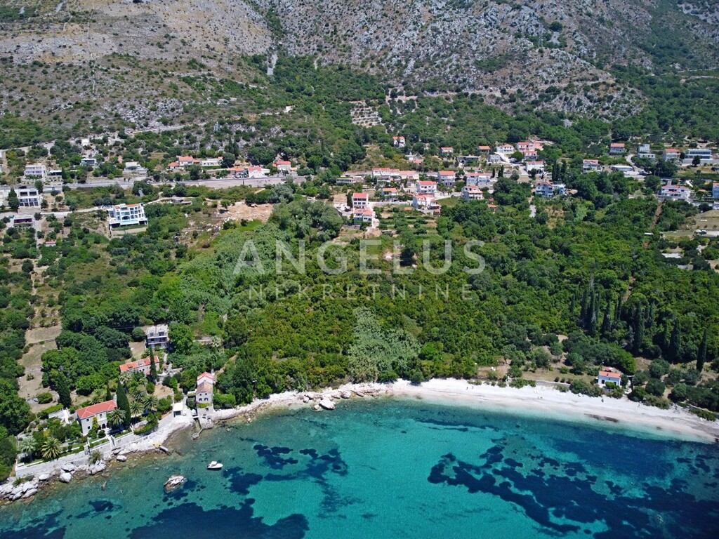 Image 6208785 - 1