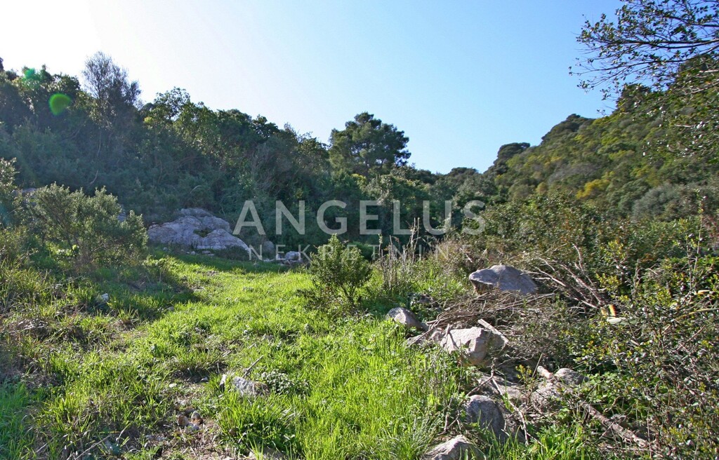 Image 6208788 - 4