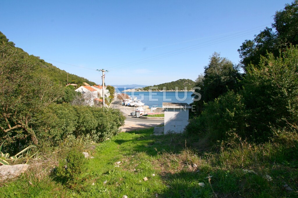 Image 6208788 - 3