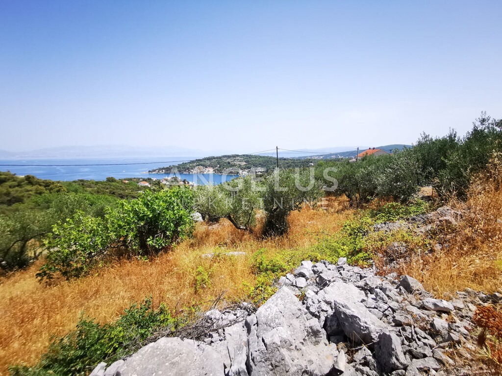 Image 6208789 - 10
