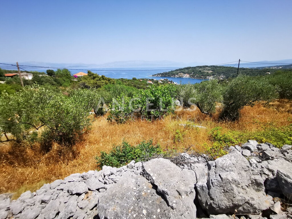 Image 6208789 - 9