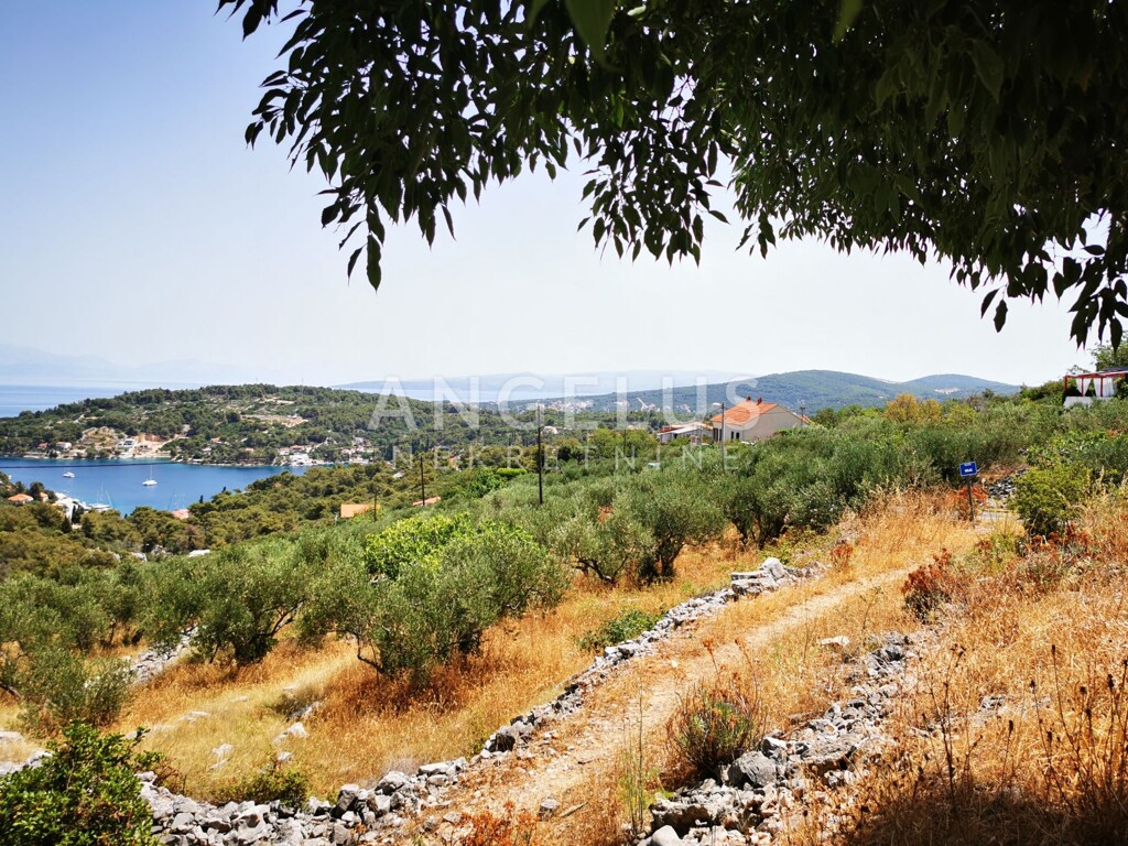 Image 6208789 - 8