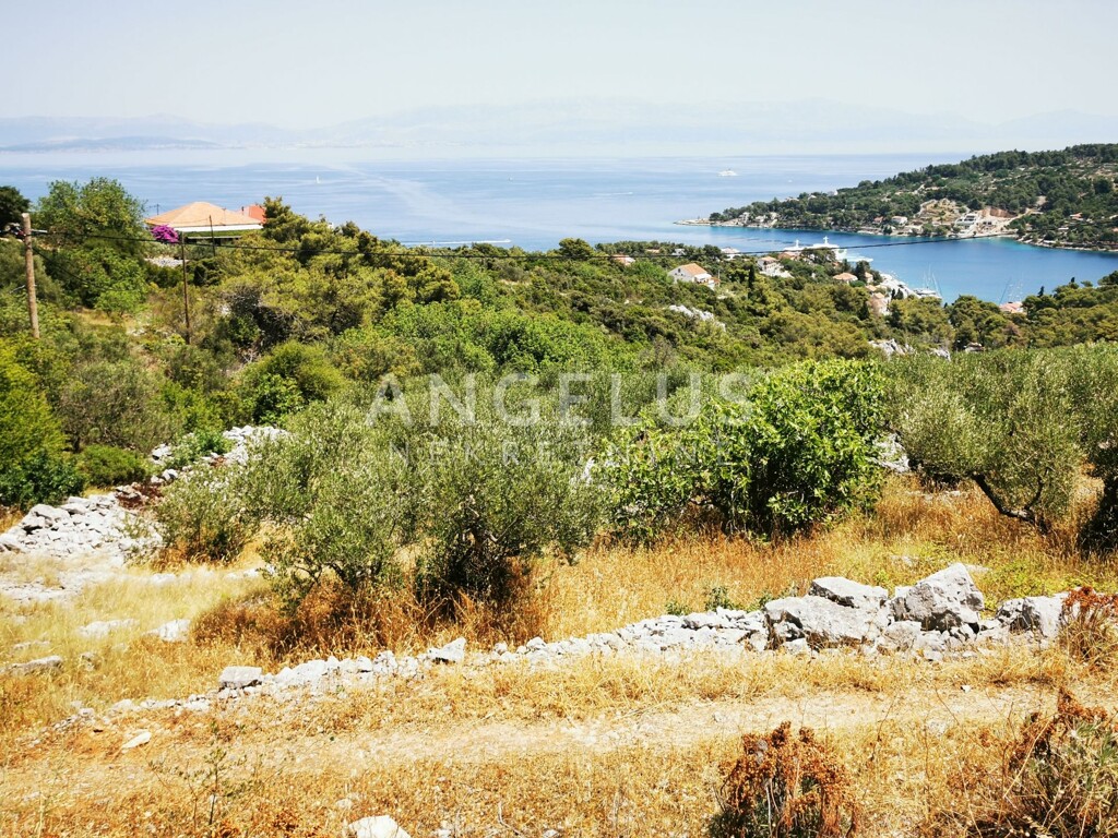 Image 6208789 - 4