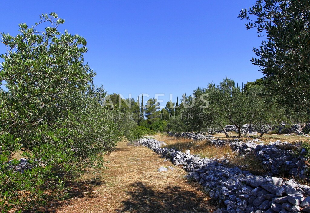 Image 6208792 - 5