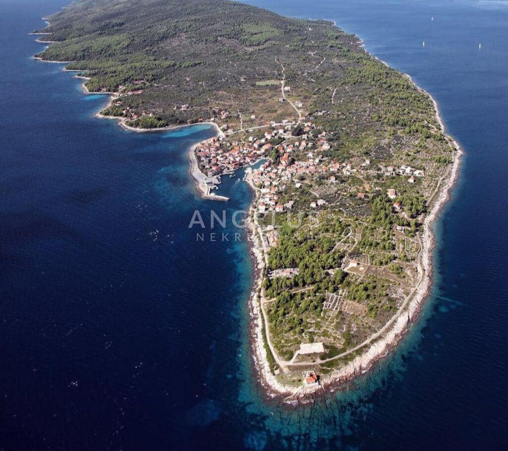 Image 6208797 - 1