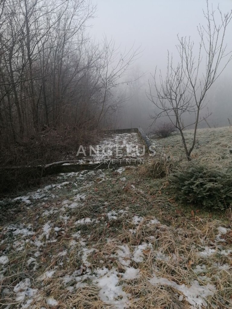 Image 6208803 - 3