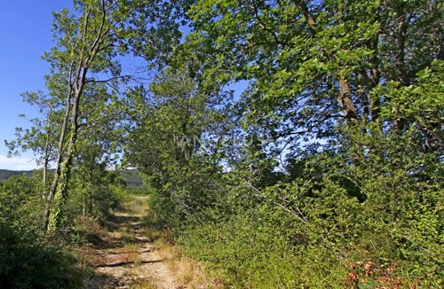 Thumbnail 6208820 - 4