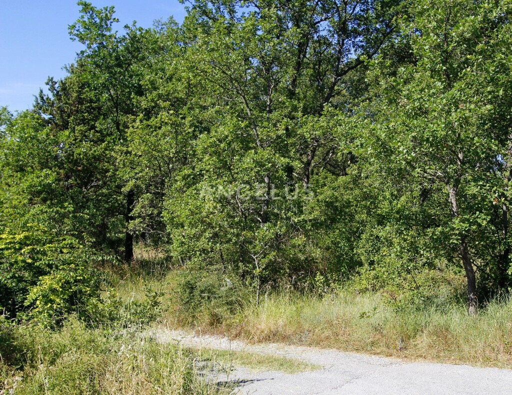 Image 6208820 - 6