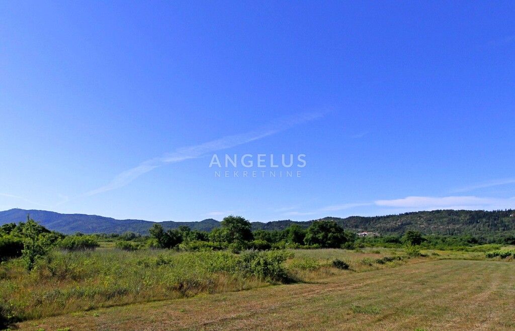 Image 6208820 - 2