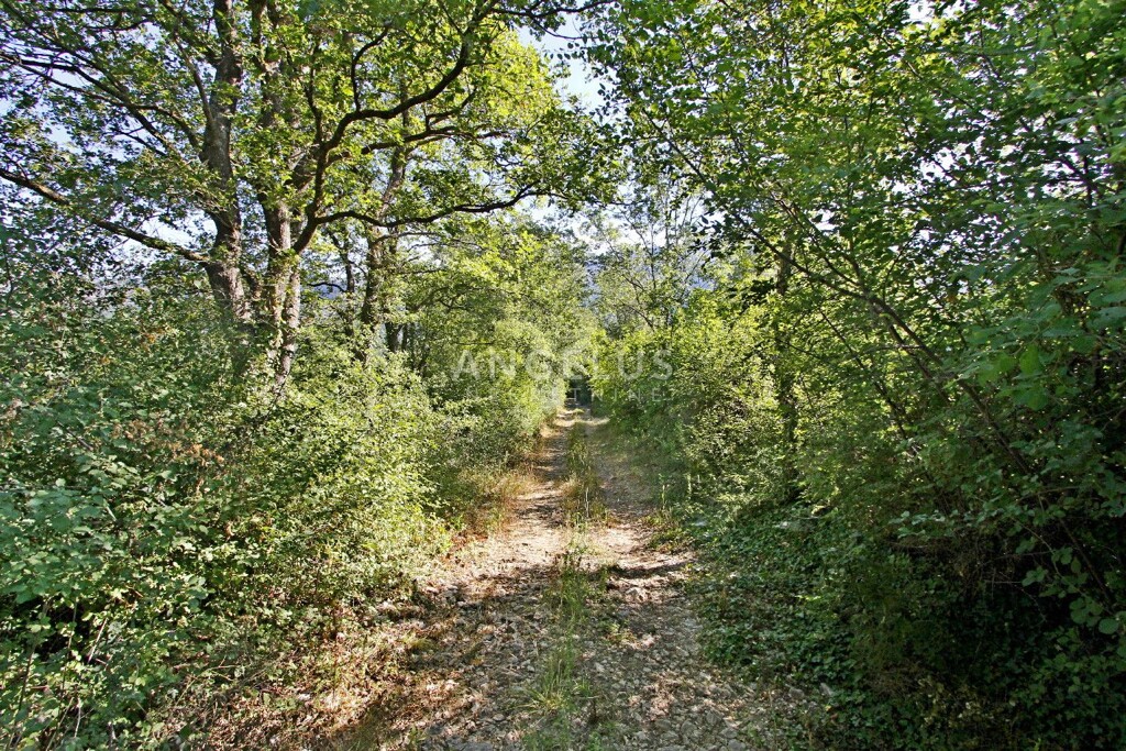 Image 6208820 - 5