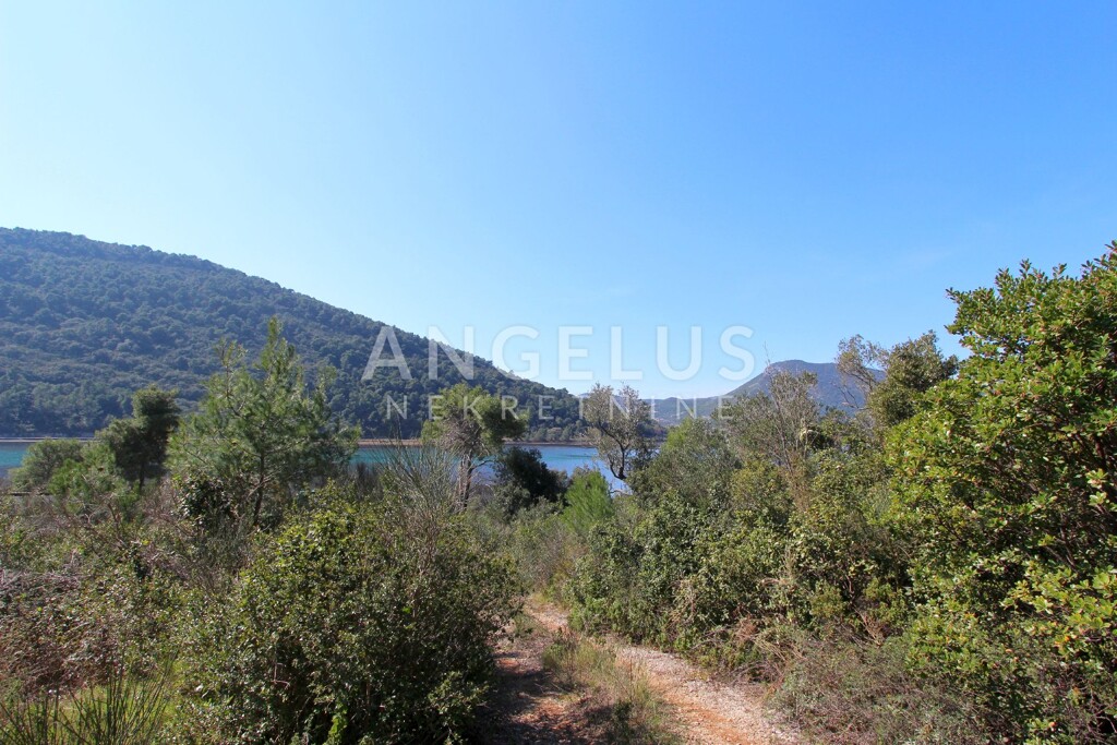 Image 6208823 - 4
