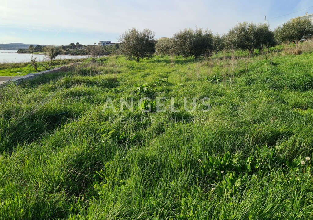 Image 6208826 - 2