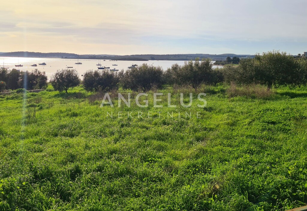 Image 6208826 - 1