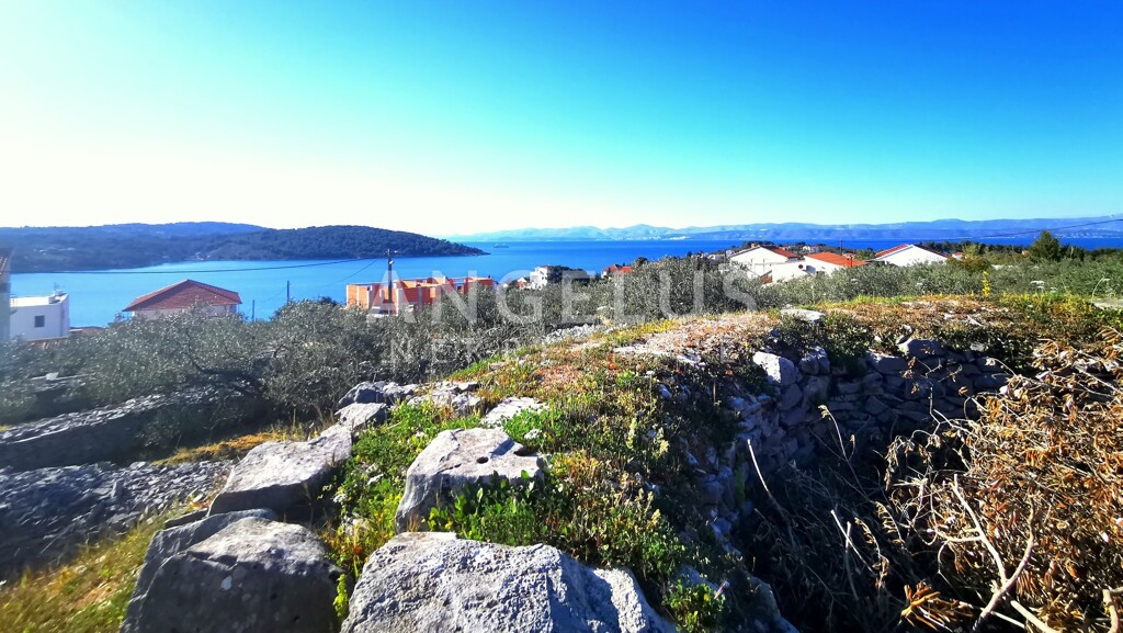Image 6208827 - 1