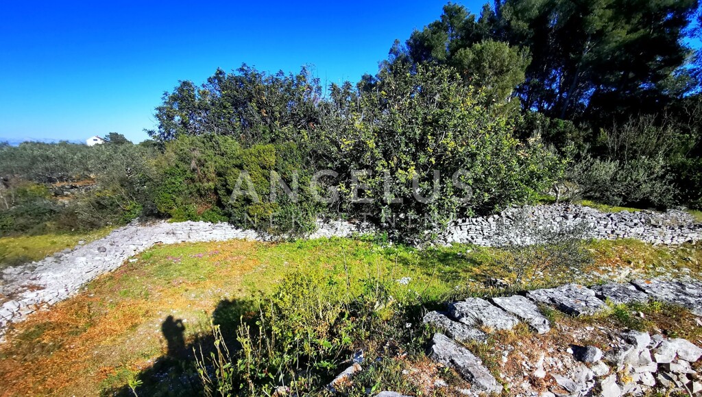 Image 6208827 - 11