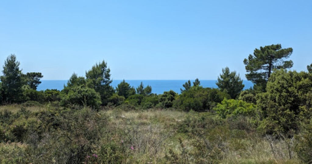 Image 6208886 - 2