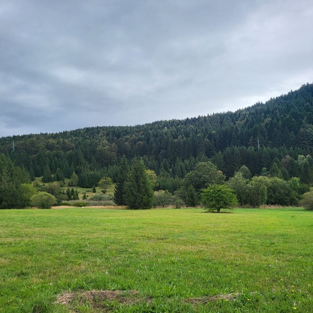 Image 6208918 - 1