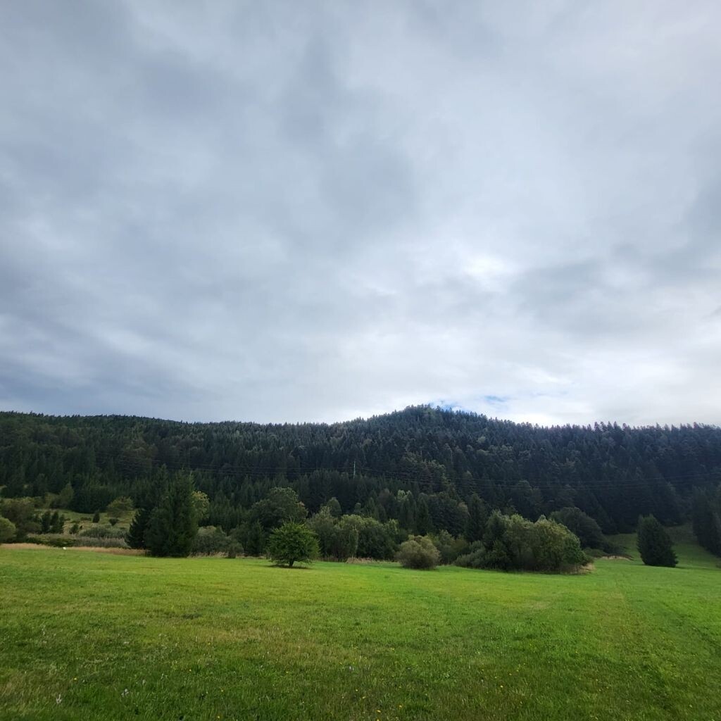 Image 6208918 - 3