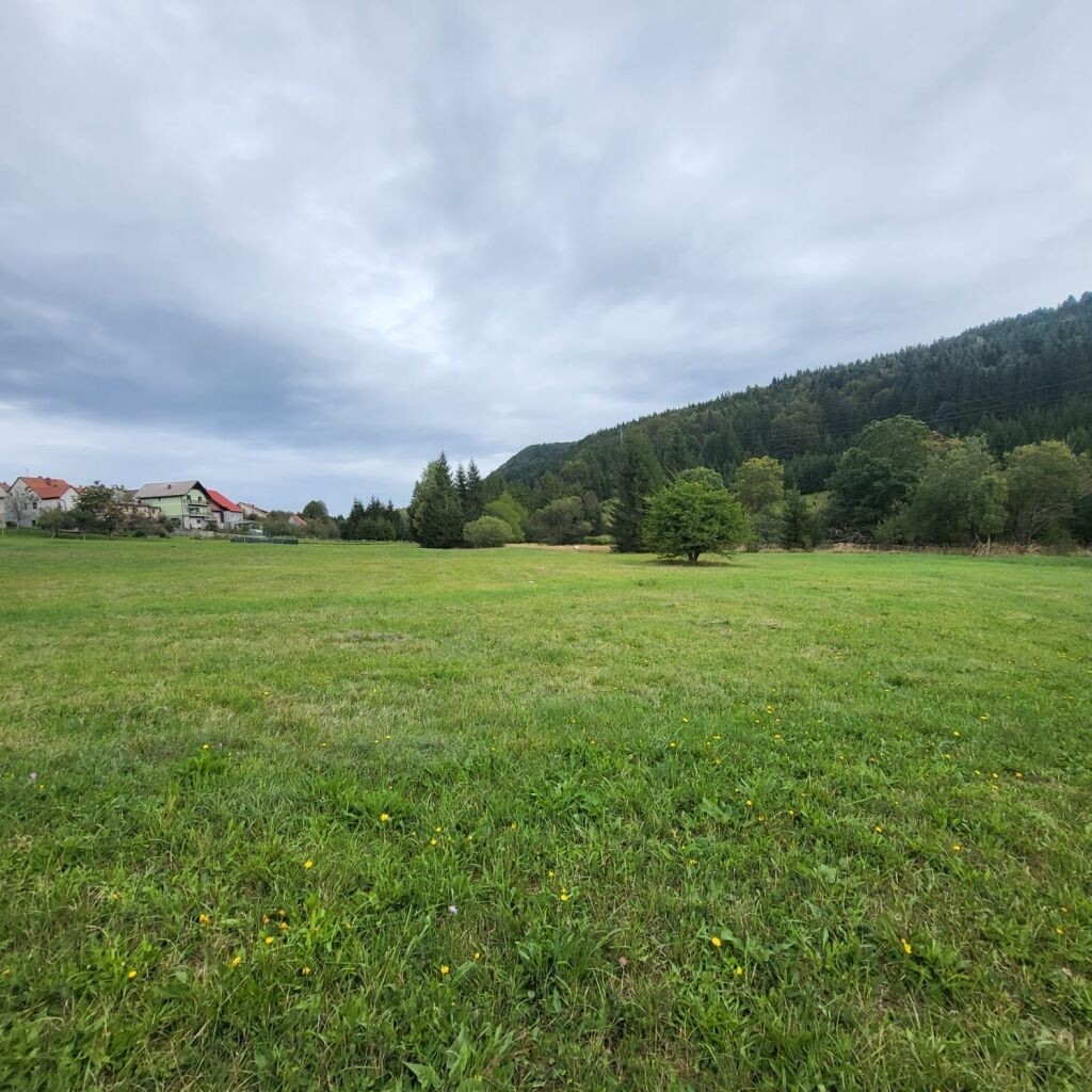 Image 6208918 - 2