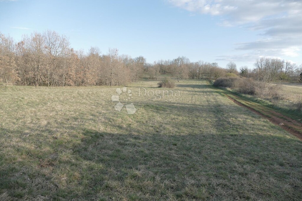 Image 6209079 - 3