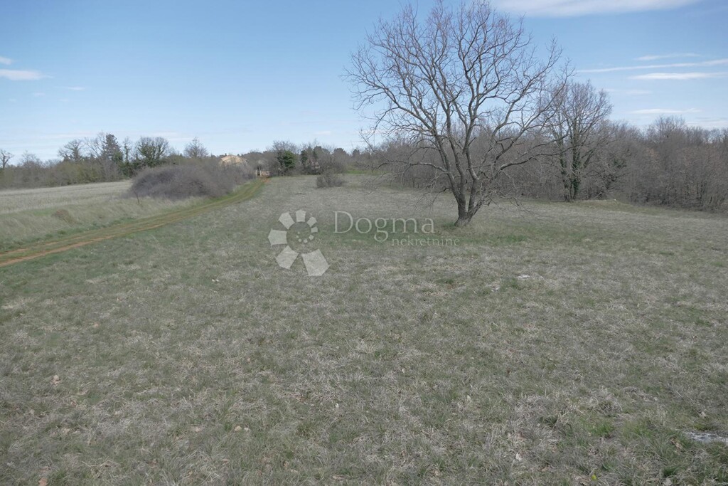 Image 6209079 - 4