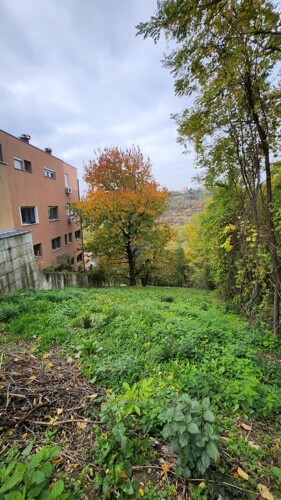 Thumbnail 6209460 - 2