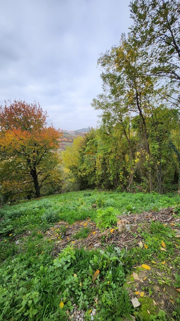 Image 6209460 - 3