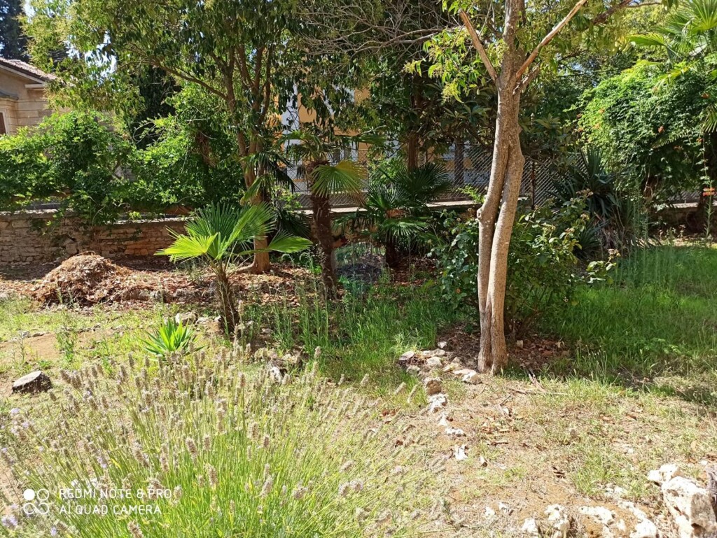 Image 6209462 - 16