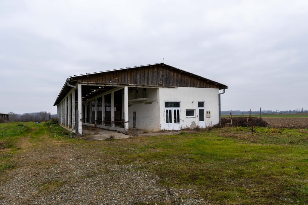 Image 6209709 - 1