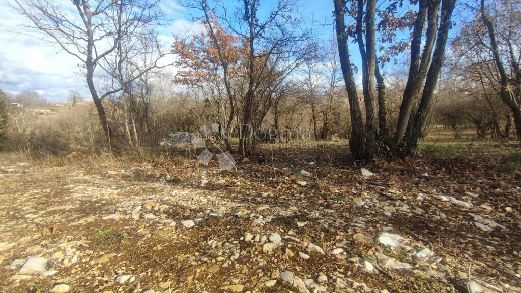 Image 6210041 - 4