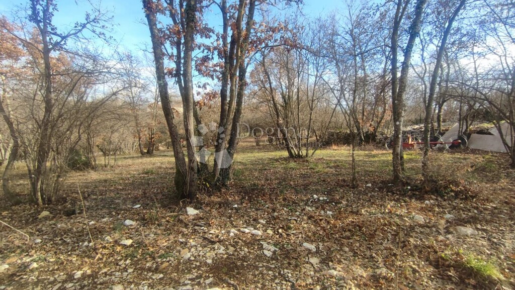 Image 6210041 - 5