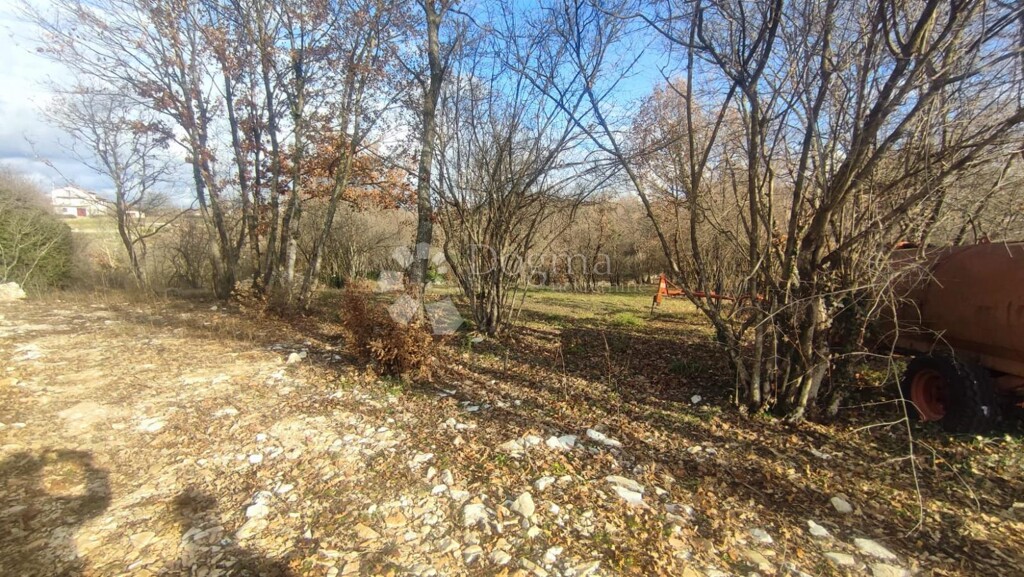 Image 6210041 - 2
