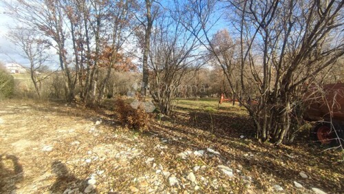 Thumbnail 6210041 - 6